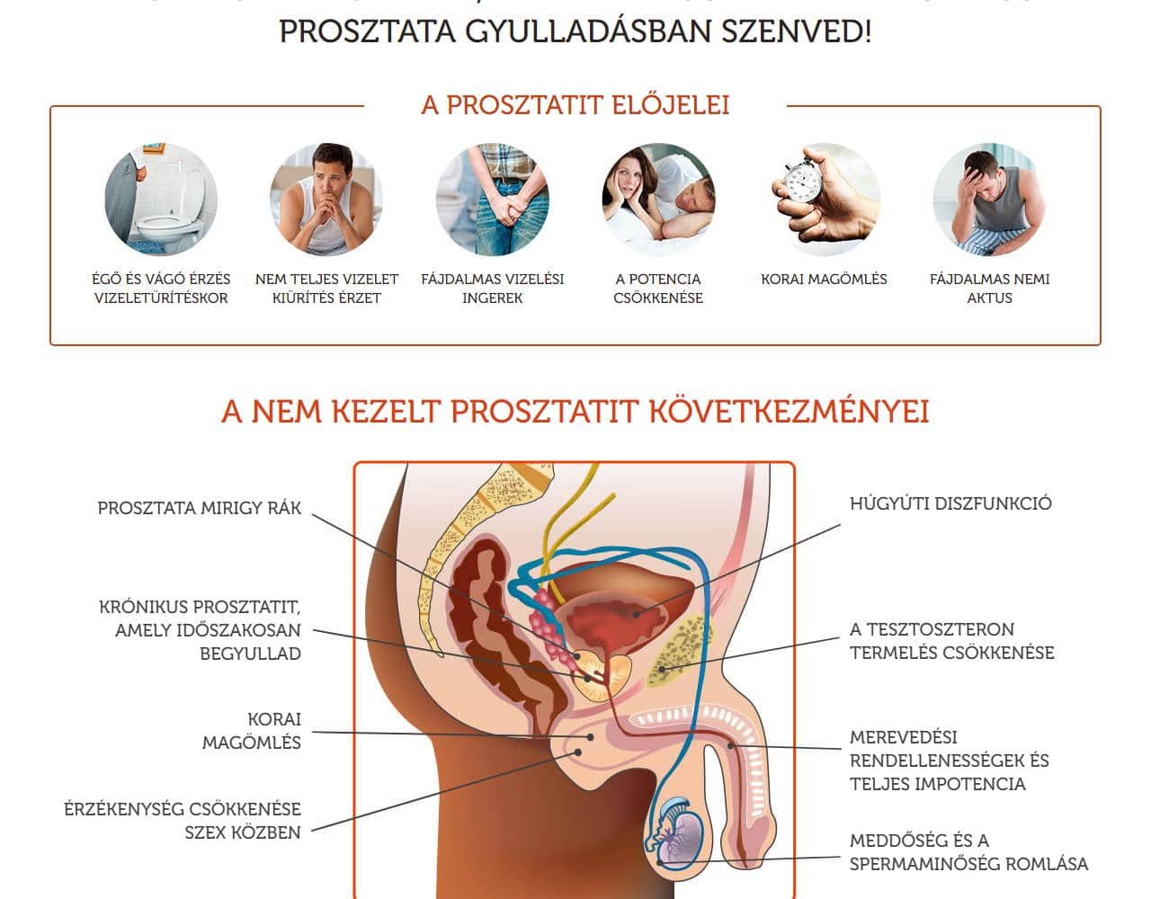 Cannabis Oil Prostatitis 2