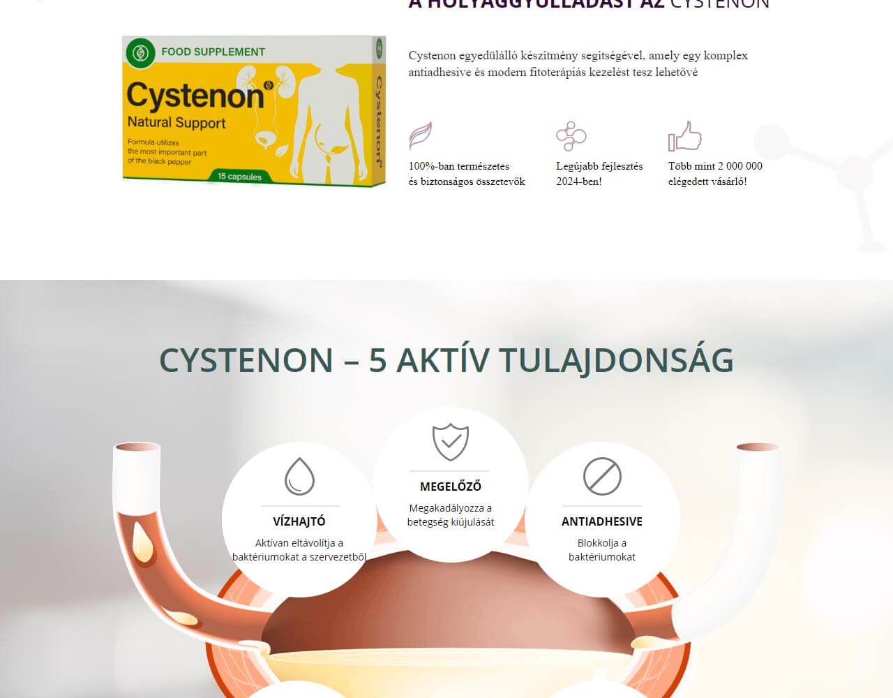 Cystenon 4